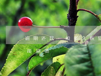 逾期还款一般多久恢复(逾期还款完了,多久才能刷新?)