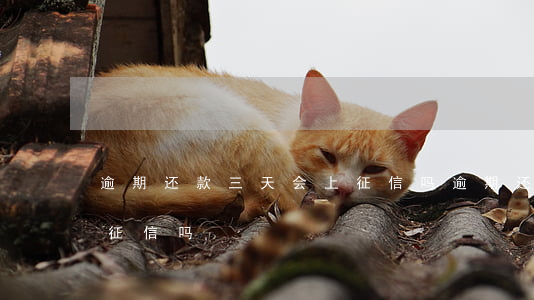 逾期还款三天会上征信吗(逾期还款三天会上征信吗)