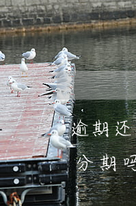 逾期还款不能分期付款(分期付款逾期过还能分期吗)