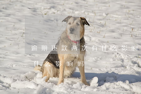 逾期还款两次有什么影响-逾期还款两次有什么影响吗