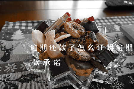 逾期还款了怎么证明(逾期还款情况说明和还款承诺)