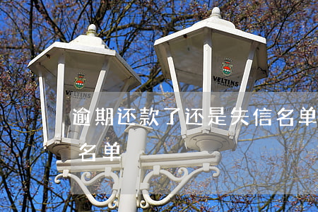 逾期还款了还是失信名单(逾期多久失信人员名单)