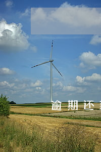 逾期还款会被拘留吗(还款逾期了会有啥后果)
