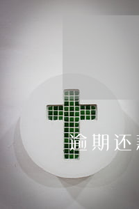逾期还款信息真实性