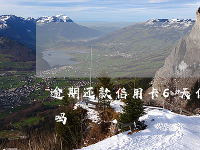 逾期还款信用卡6天(信用卡6天没还算逾期吗)