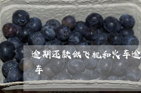 逾期还款做飞机和火车(逾期还款做飞机和火车)