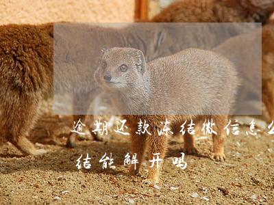逾期还款冻结微信怎么解封(贷款逾期微信冻结能解开吗)