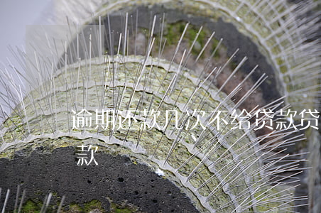 逾期还款几次不给贷款(贷款逾期几次不能贷款)