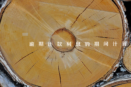 逾期还款利息的期间计算(贷款逾期利息计算)