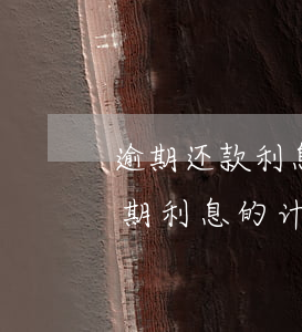 逾期还款利息的计算方式及法律依据（支付逾期利息的计算方式）