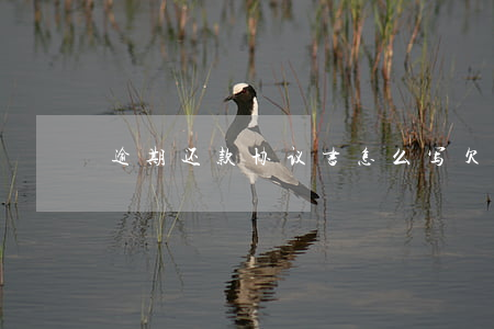 逾期还款协议书怎么写(欠款还款协议书)