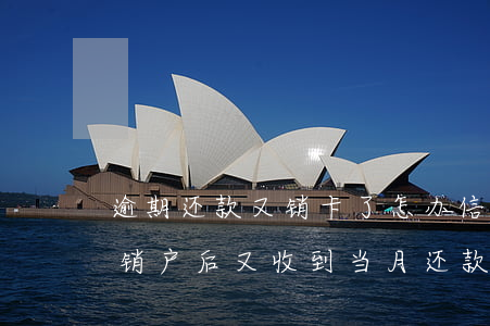 逾期还款又销卡了怎办(信用卡逾期还清欠款销户后又收到当月还款)