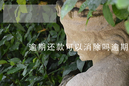 逾期还款可以消除吗(逾期已还清还能贷款吗)