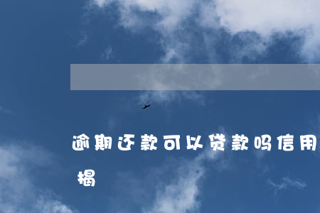 逾期还款可以贷款吗（信用卡逾期还款后能按揭）