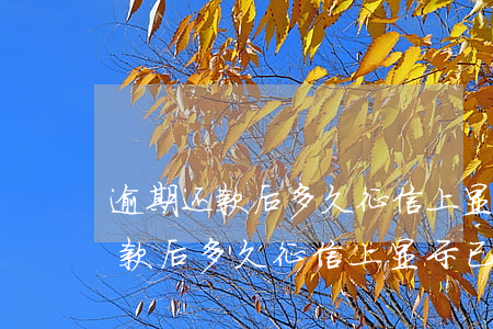逾期还款后多久征信上显示已还款-逾期还款后多久征信上显示已还款记录