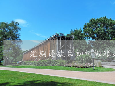 逾期还款后如何做账(逾期欠款怎么还)