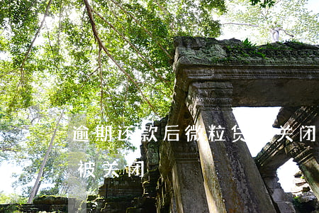 逾期还款后微粒贷被关闭(逾期还款后微粒贷被关闭)
