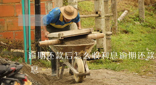 逾期还款后怎么收利息(逾期还款后怎么收利息)