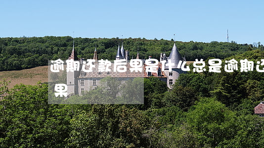 逾期还款后果是什么(总是逾期还款,会有啥后果)