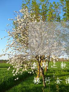 逾期还款后能撤诉吗(信用卡逾期起诉后还清银行会撤诉吗)