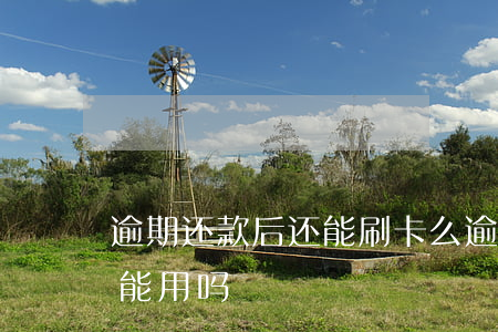 逾期还款后还能刷卡么(逾期信用卡还清后还能用吗)
