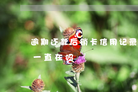 逾期还款后销卡信用记录(销卡了逾期记录还一直在吗)