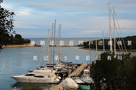 逾期还款后销户还能恢复(还清逾期后销户不良记录5年后还有吗)