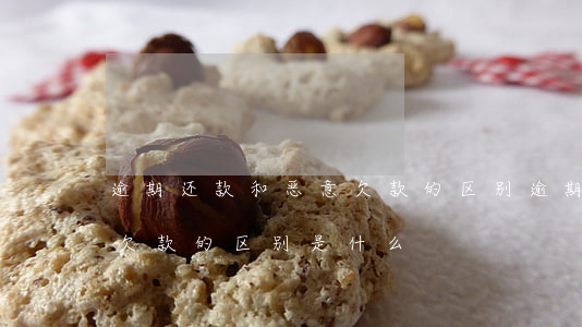 逾期还款和恶意欠款的区别(逾期还款和恶意欠款的区别是什么)