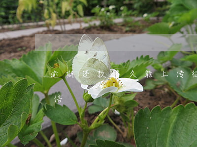 逾期还款多久能上传征信(借款逾期多久上征信)