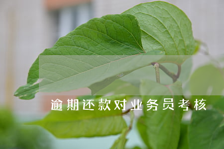 逾期还款对业务员考核