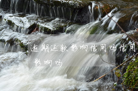 逾期还款影响信用吗(信用卡逾期还款有什么影响吗?)