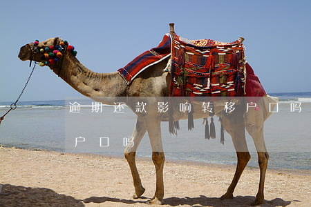逾期还款影响转移户口吗(逾期还款影响转移户口吗)