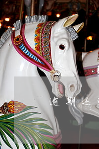 逾期还款征信业管理条例(征信逾期贷款)