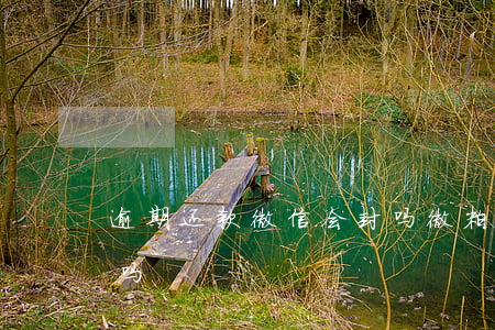 逾期还款微信会封吗(微粒贷逾期微信会封号吗)