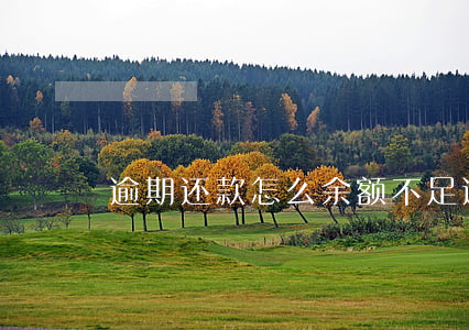 逾期还款怎么余额不足(逾期贷款余额)