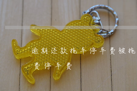 逾期还款拖车停车费(被拖车了怎么处理 拖车费停车费)