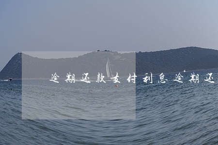 逾期还款支付利息(逾期还款支付利息)