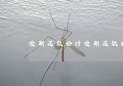 逾期还款检讨(逾期还款检讨)