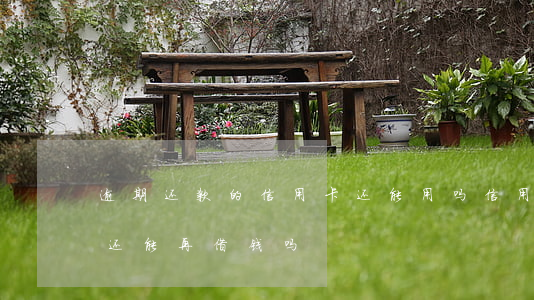 逾期还款的信用卡还能用吗（信用卡逾期的人还能再借钱吗）