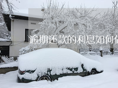 逾期还款的利息如何做账(逾期的钱怎么还款)