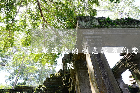 逾期还款的利息没有约定(没约定利息,约定了还款期限)