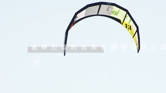 逾期还款的后果有哪些(逾期还款的后果有哪些)