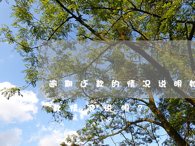 逾期还款的情况说明，如何撰写有效的逾期还款情况说明？