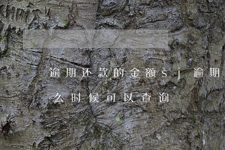 逾期还款的金额sj(逾期还款的金额每月什么时候可以查询)