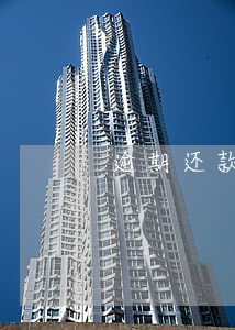 逾期还款英文怎么说