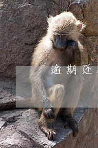 逾期还款要扣年费吗(纯年费引起的逾期还款)