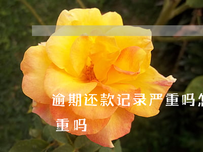 逾期还款记录严重吗怎么查（逾期还款记录严重吗）