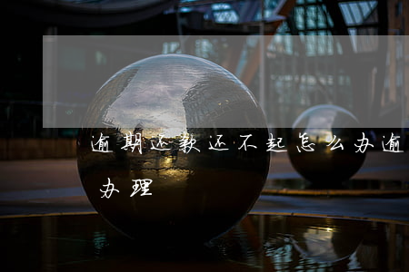 逾期还款还不起怎么办(逾期还款还不起怎么办理)
