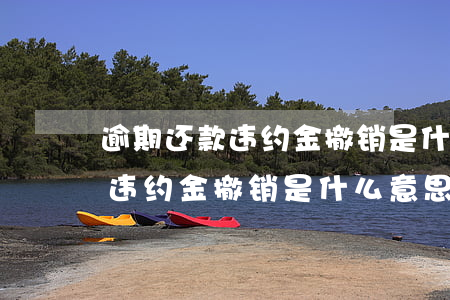 逾期还款违约金撤销是什么意思-逾期还款违约金撤销是什么意思啊