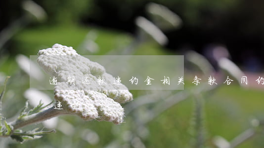 逾期还款违约金相关条款(合同约定逾期付款违约金)